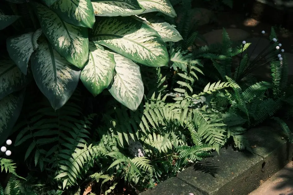 Greens & Outdoors at M3M EIFFEL, Gurgaon (locality unspecified), Gurgaon