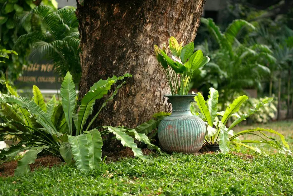 Greens & Outdoors at M3M STUDIO APARTMENTS (GIC MANESAR), Gurgaon