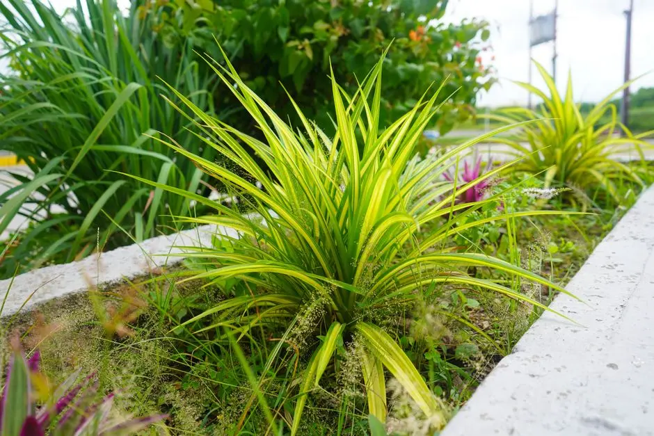 Greens & Outdoors at M3M CAPITAL WALK, Sector 113, Gurgaon