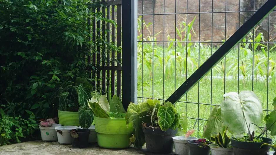 Greens & Outdoors at M3M SECTOR 76, Gurgaon
