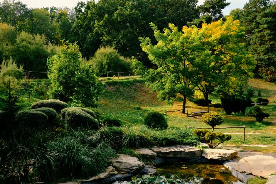 Greens & Outdoors at M3M 84MARKET, Sector 84, Gurgaon