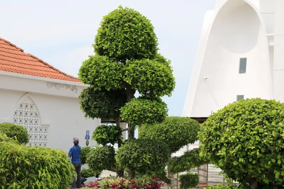 Greens & Outdoors at M3M SERVICE APARTMENTS SECTOR 94, Noida