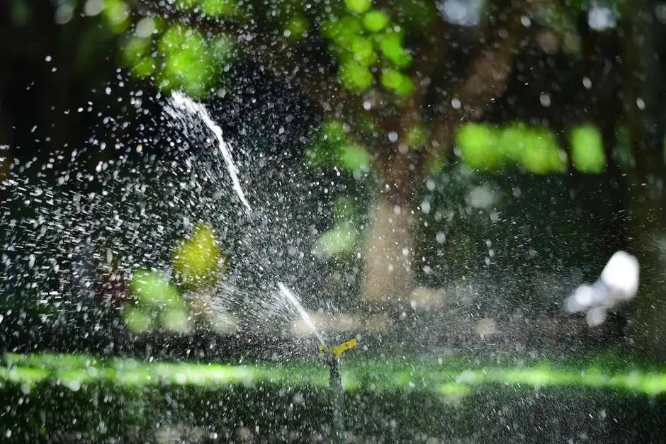 Greens & Outdoors at M3M LUDHIANA, Ludhiana