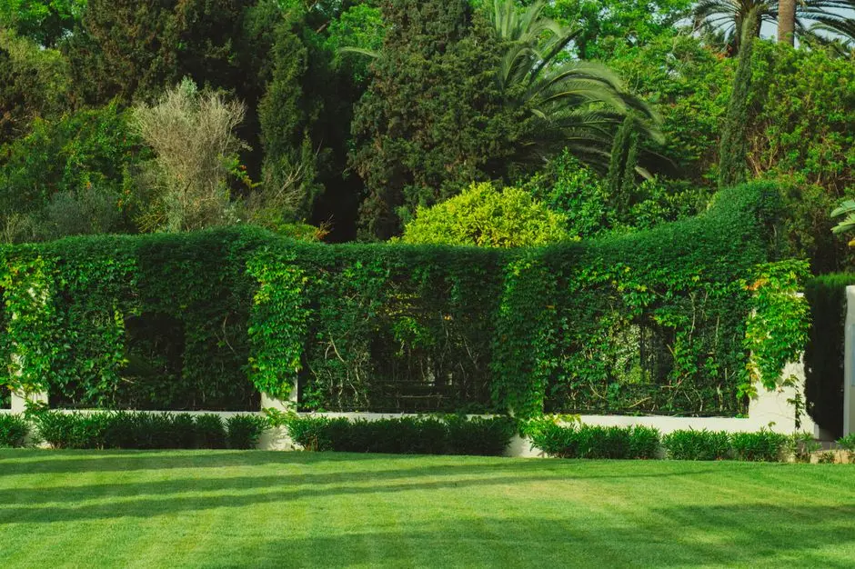 Greens & Outdoors at M3M ASTON MARTIN RESIDENCES, Sector 111, Gurgaon