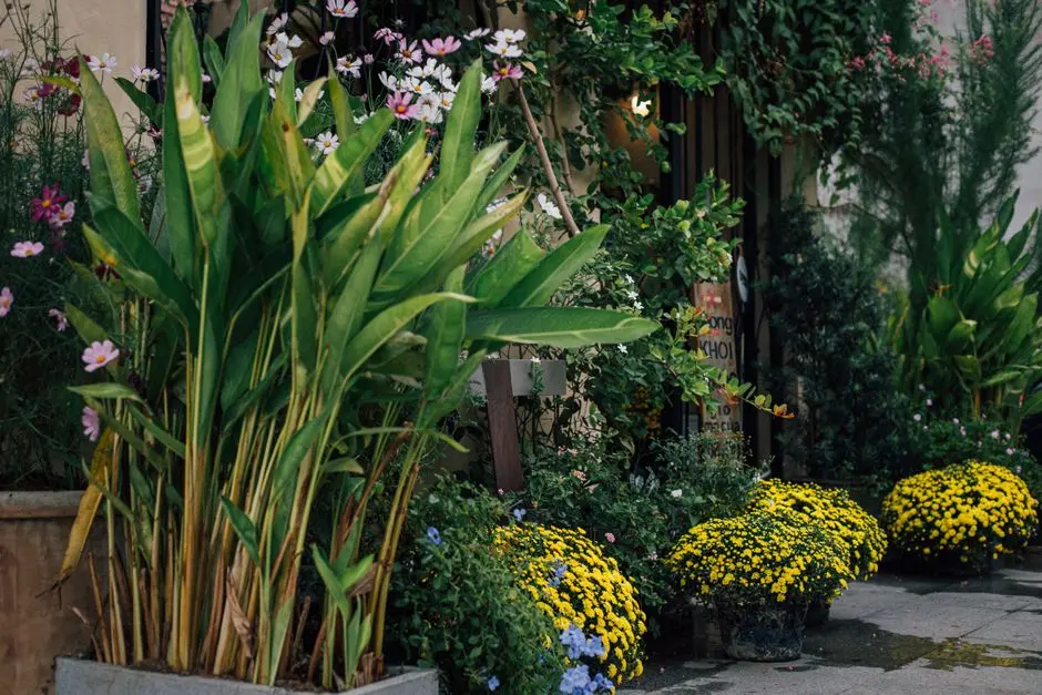 Greens & Outdoors at M3M SMARTWORLD ELIE SAAB RESIDENCES, Sector 97, Noida