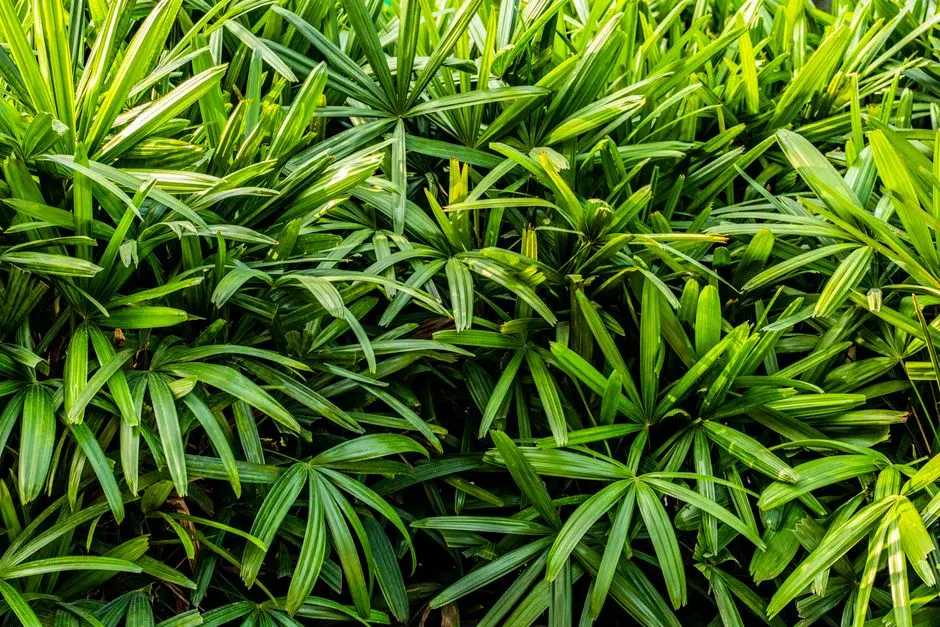 Greens & Outdoors at M3M SOHNA ROAD, Gurgaon
