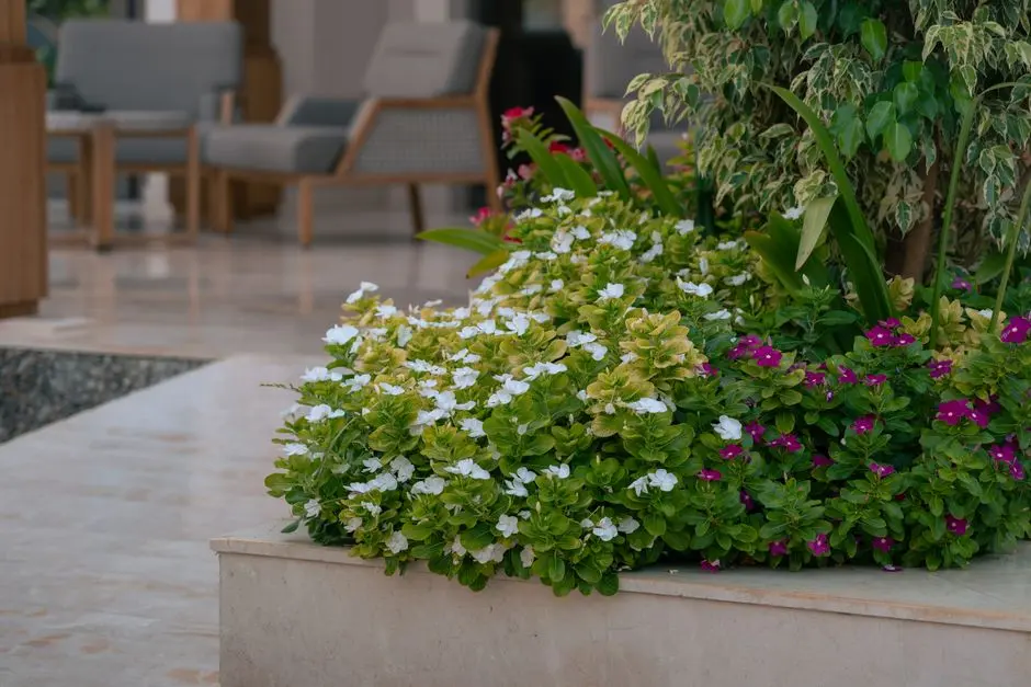 Greens & Outdoors at M3M 65TH AVENUE, Sector 65, Gurgaon
