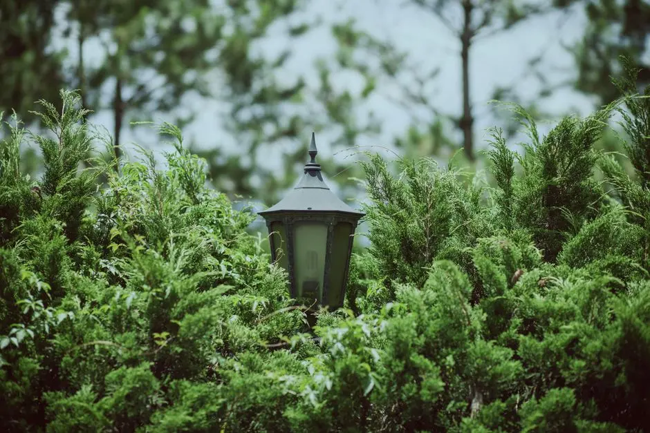 Greens & Outdoors at M3M ONE KEY RESIDENCES, Sector 67, Gurgaon