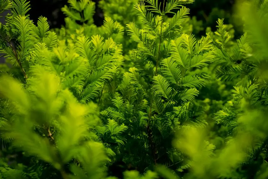 Greens & Outdoors at M3M NATURA, Sector 68, Gurgaon