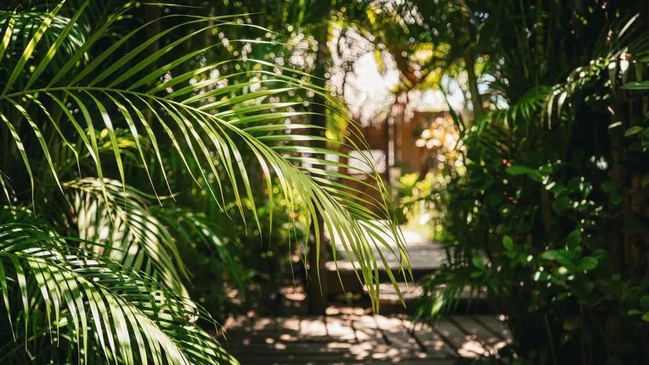 Greens & Outdoors at M3M ESCALA, Sector 70A, Gurgaon