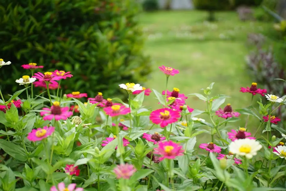 Greens & Outdoors at M3M WOODSHIRE, Sector 107, Gurgaon