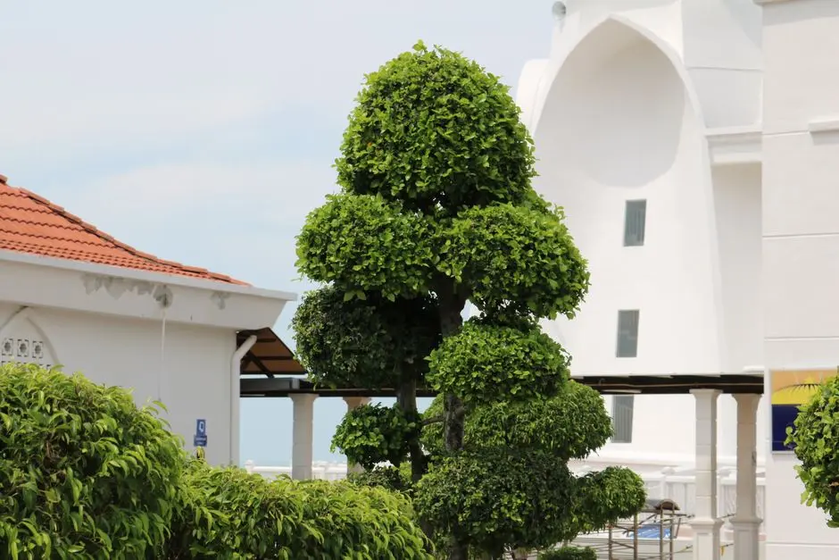 Greens & Outdoors at M3M HILLSIDE, Sector 79, Gurgaon