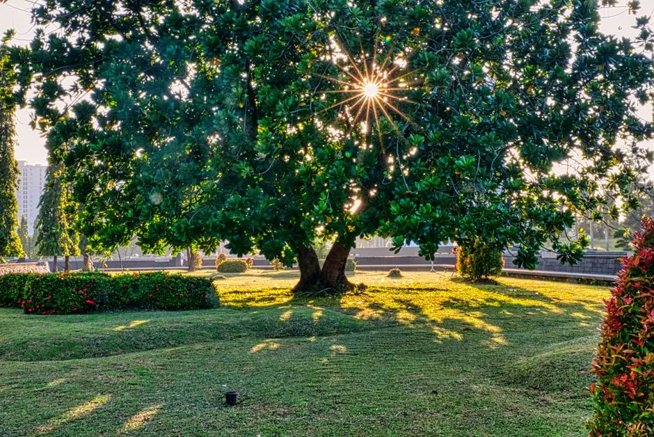 Greens & Outdoors at M3M LUXE, Sector 113, Gurgaon