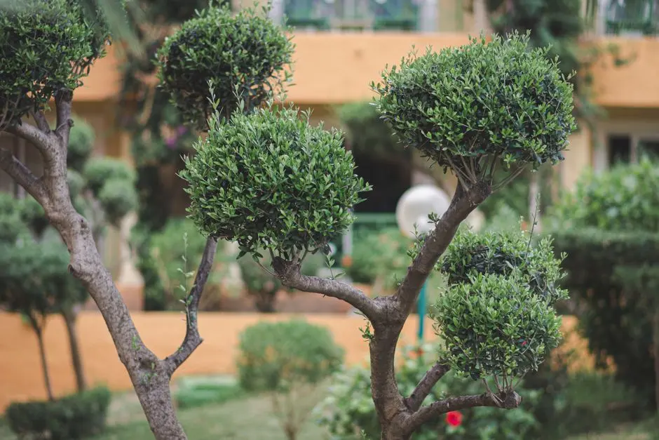 Greens & Outdoors at M3M PARAGON 57, Sector 57, Gurgaon