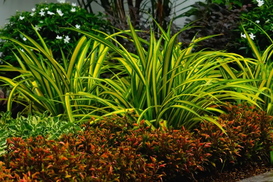 Greens & Outdoors at M3M ATRIUM 57, Sector 57, Gurgaon