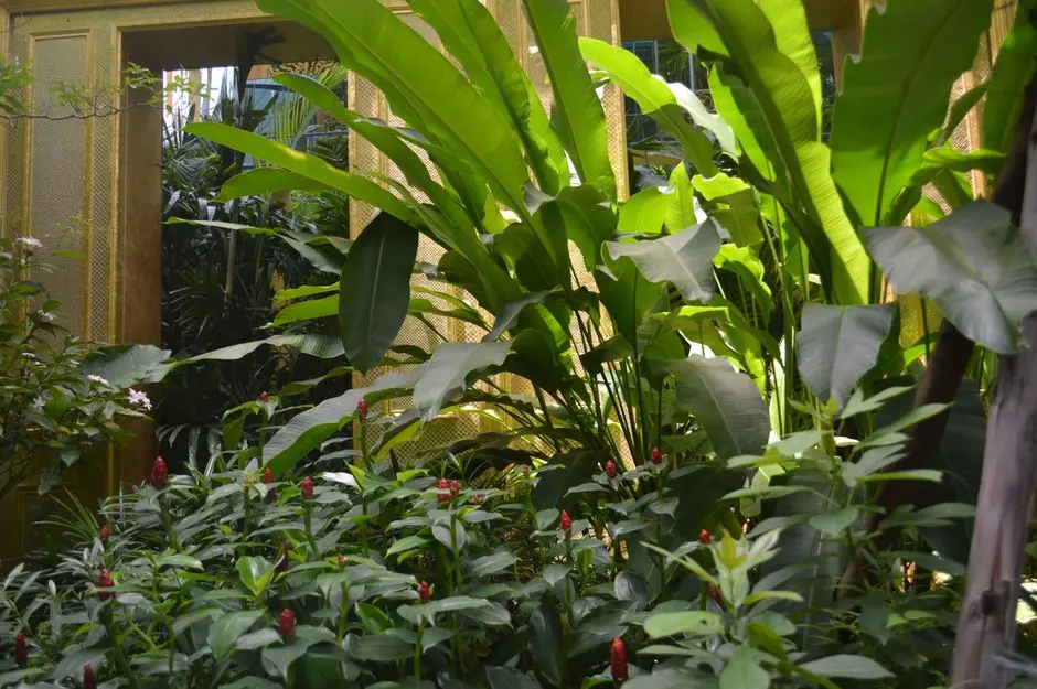 Greens & Outdoors at M3M JEWEL, Sector 25, Gurgaon