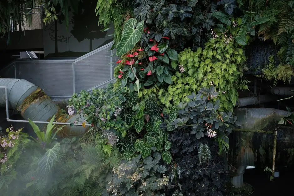 Greens & Outdoors at M3M COSMOPOLITAN, Sector 66, Gurgaon