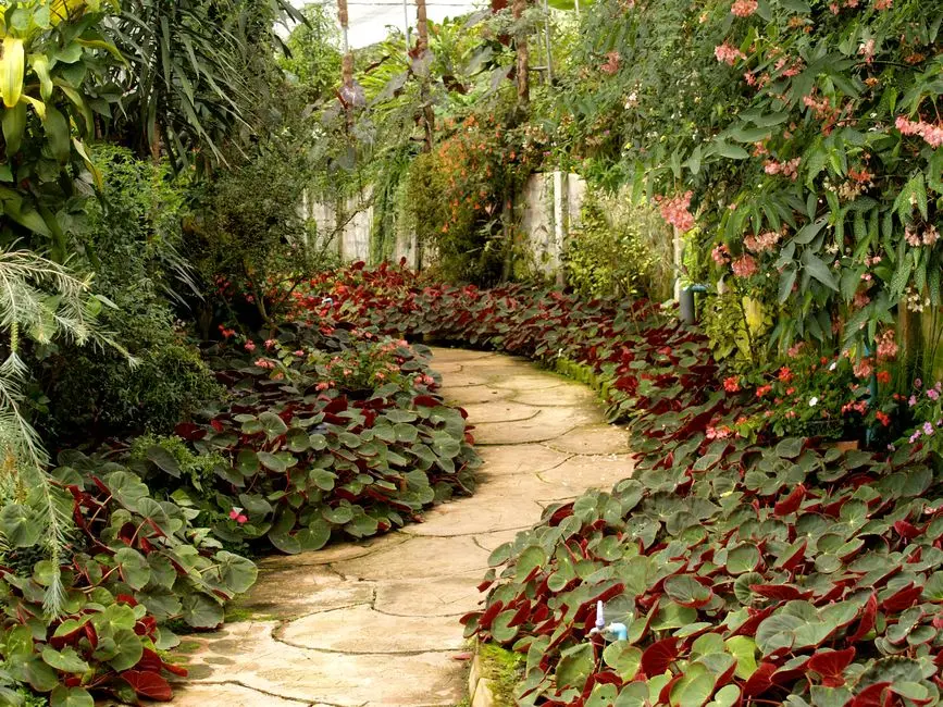 Greens & Outdoors at M3M TERRACES, Sector 36-37, Panipat