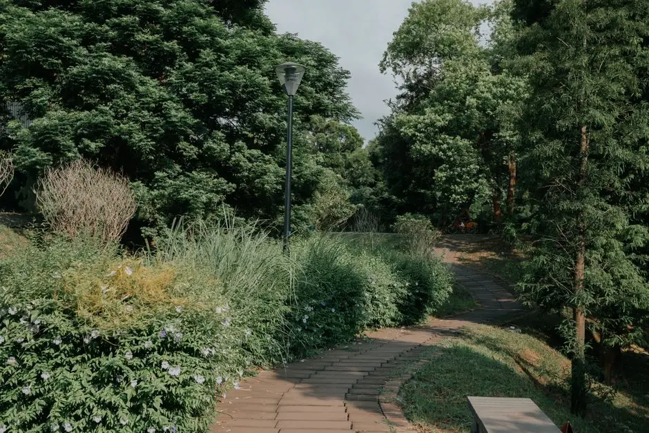 Greens & Outdoors at M3M FRANCK MULLER RESIDENCES, Sector 43, Gurgaon