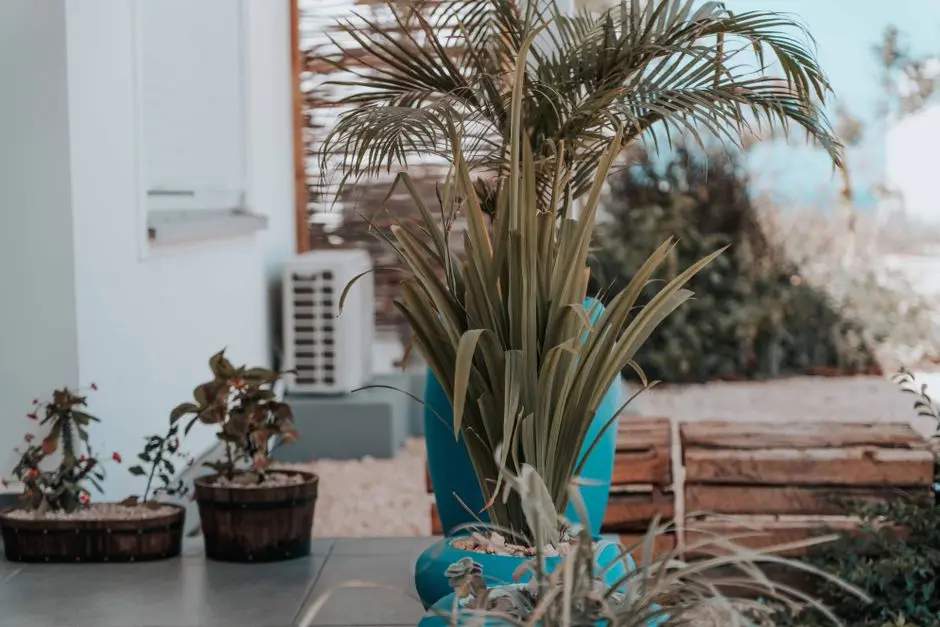 Greens & Outdoors at M3M FLOORS, Sector 9, Manesar, Gurgaon