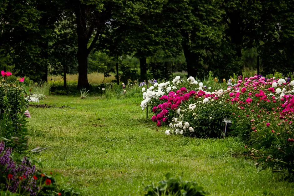 Greens & Outdoors at M3M PHANTOM, Gurgaon (locality unspecified), Gurgaon